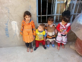 Najaf - A widow whose husband died in an accident is looking after her three children and her daughter in law and her four children. She is in desperate need of financial help to support the orphans.